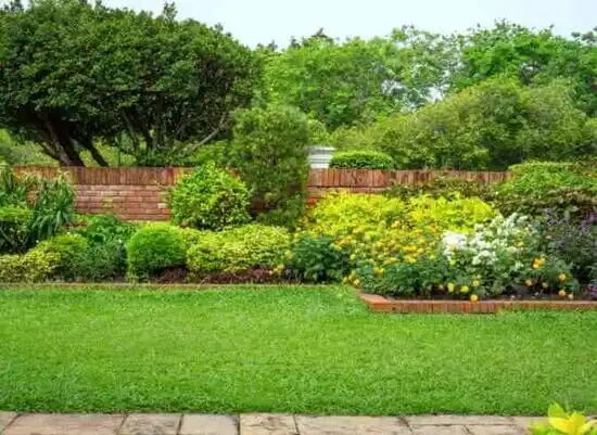 landscaping services Carroll